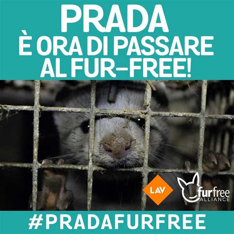 Prada nel mirino delle associazioni animaliste per l'uso delle 